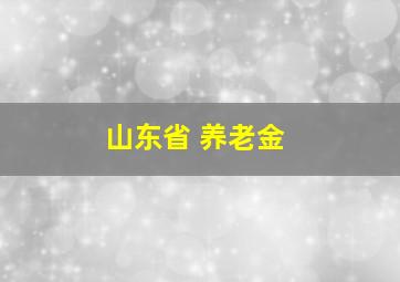 山东省 养老金